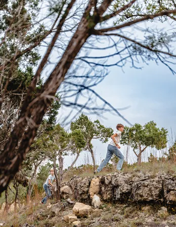 a view of a backyard of a house with a large tree