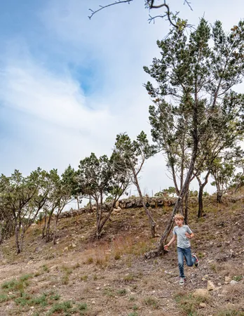 a view of a lake with a city