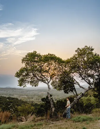 a view of an ocean and beach