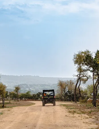 a view of a tree in front of a yard