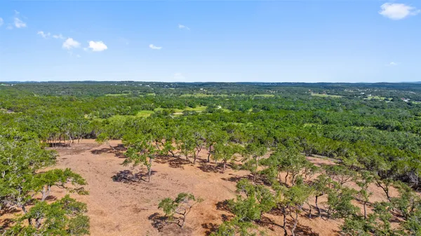 a view of road with large trees