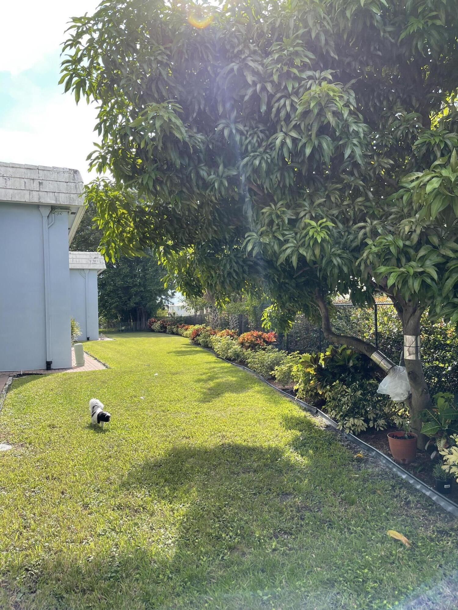 4291 Northwest 9th Avenue, Unit 104 Deerfield Beach, FL 33064 - Photo 11 of 11 a view of swimming pool with garden