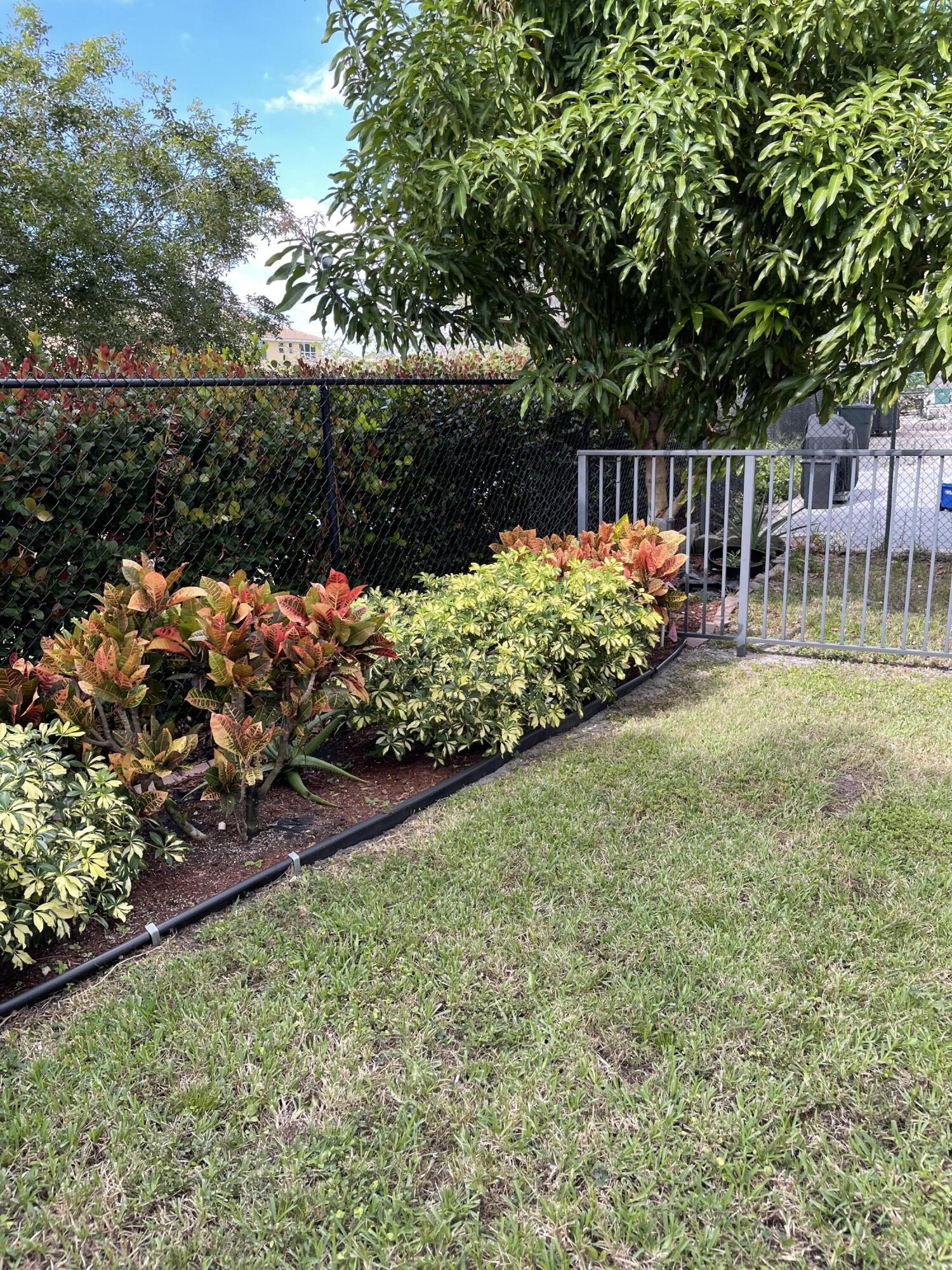 4291 Northwest 9th Avenue, Unit 104 Deerfield Beach, FL 33064 - Photo 10 of 11 a view of garden with flowers and trees