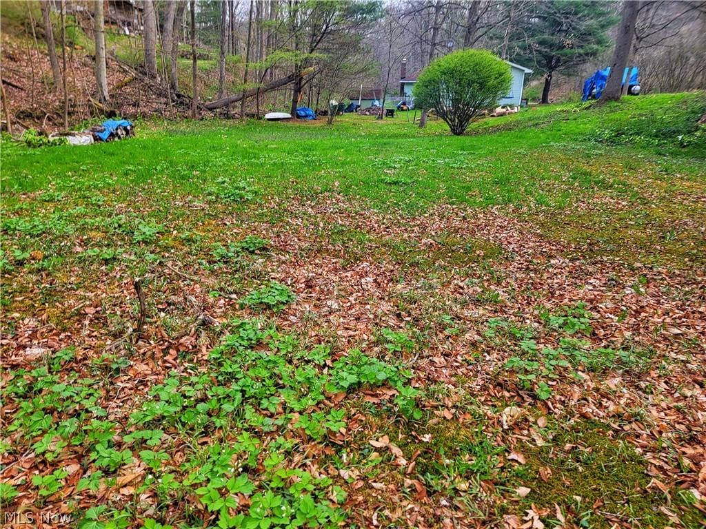 8114 Buckeye Road Bowerston, OH 44695 - Photo 5 of 14 Gallery Image 5