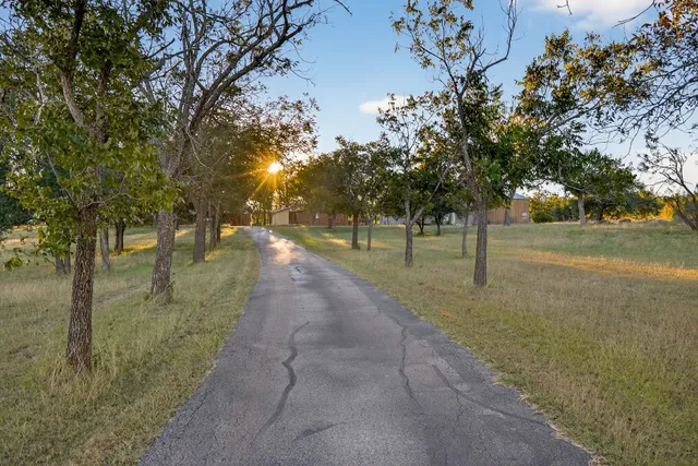 a view of a park with trees
