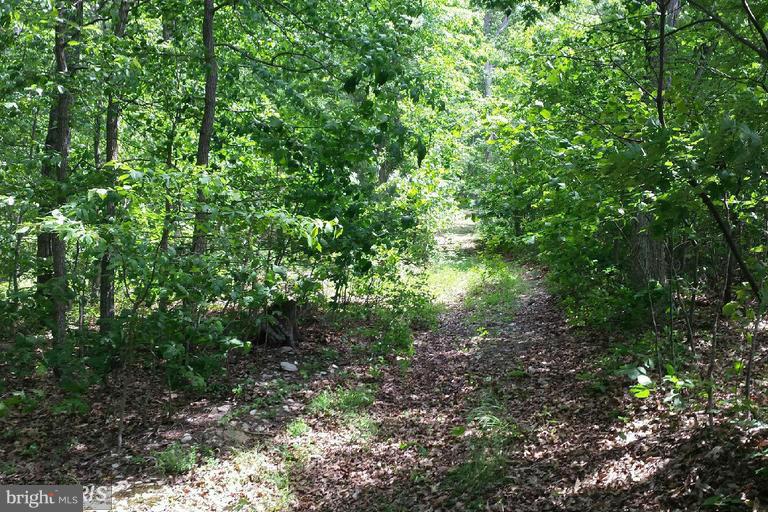 11 Rock Ridge Road Front Royal, VA 22630 - Photo 1 of 1 a view of a yard