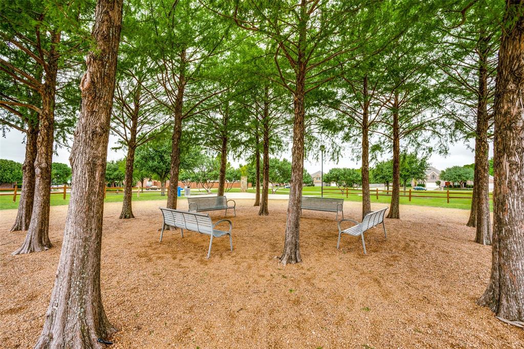 12047 Del Rio Drive Frisco, TX 75035 - Photo 28 of 29 Perfect for visiting while the Kid's play