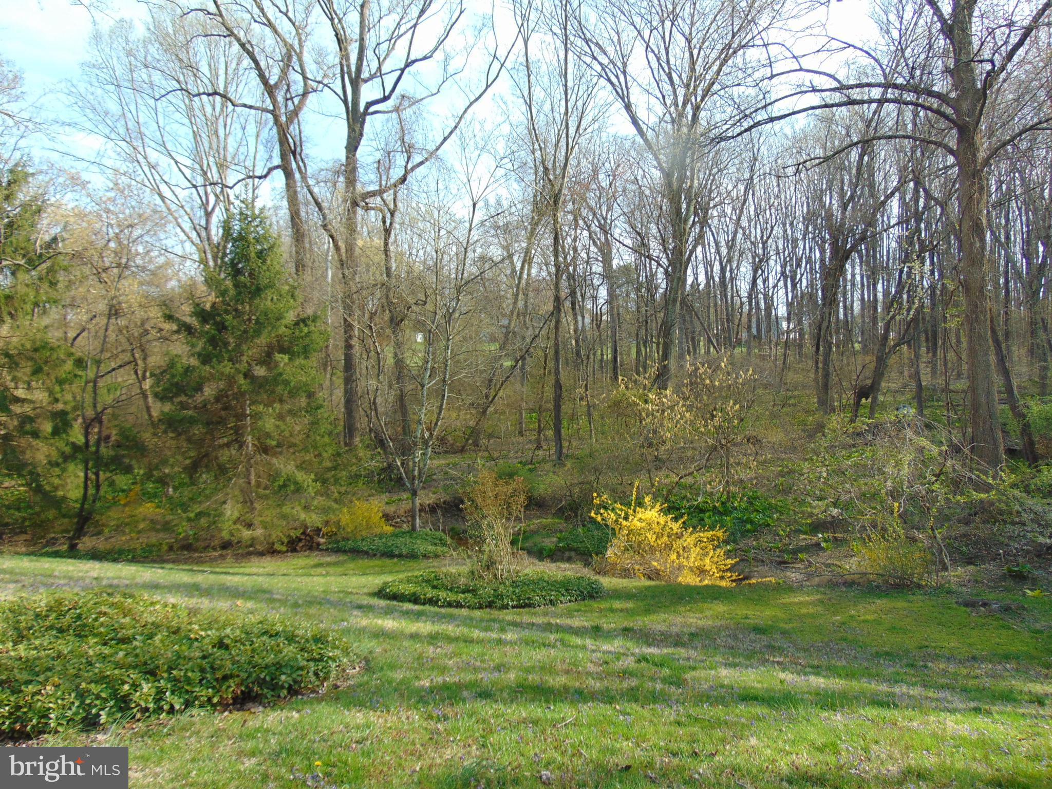 1102 Mill Creek Road Fallston, MD 21047 - Photo 4 of 28 a backyard of a house with lots of green space