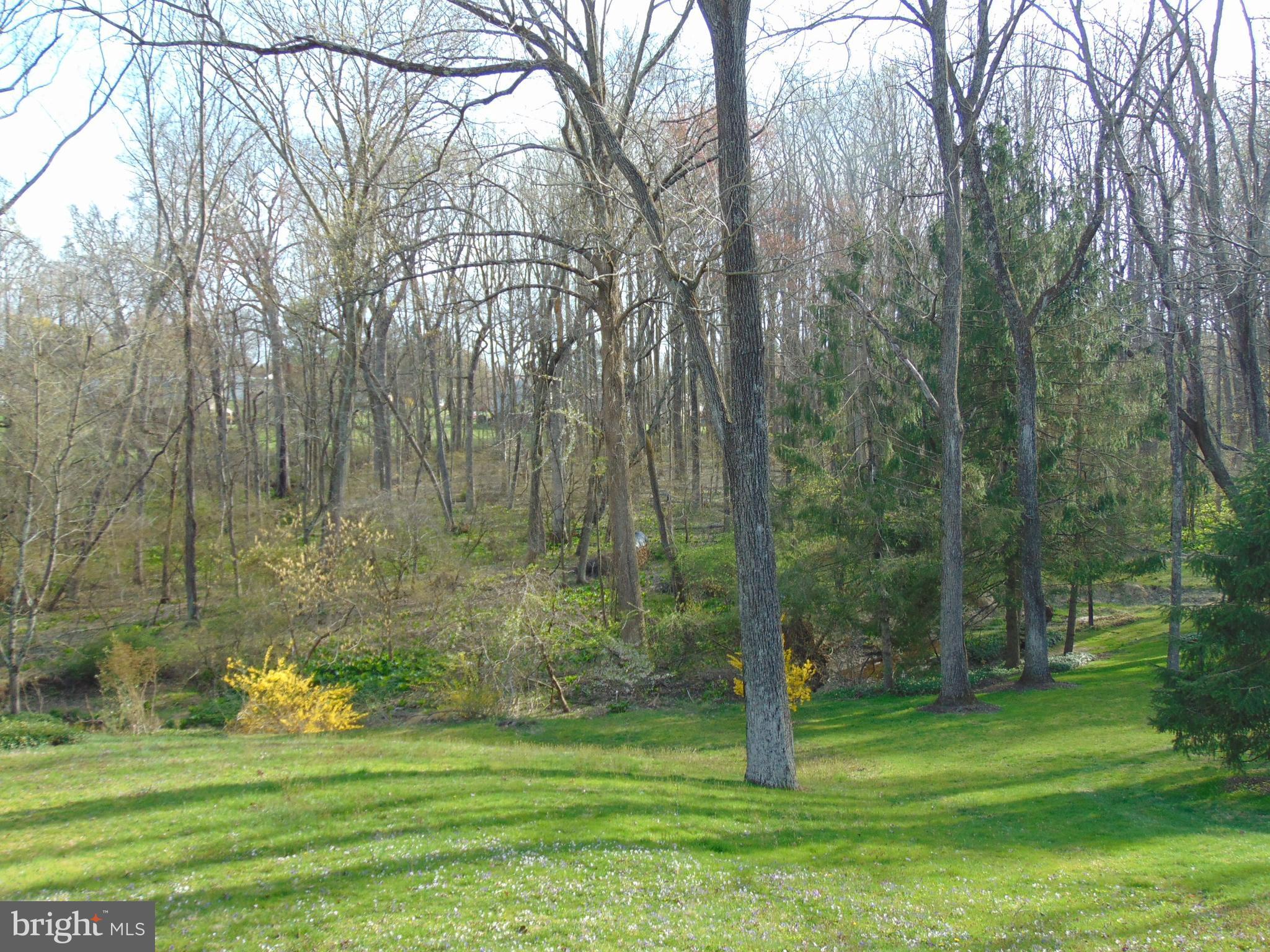 1102 Mill Creek Road Fallston, MD 21047 - Photo 5 of 28 a backyard of a house with lots of green space and trees