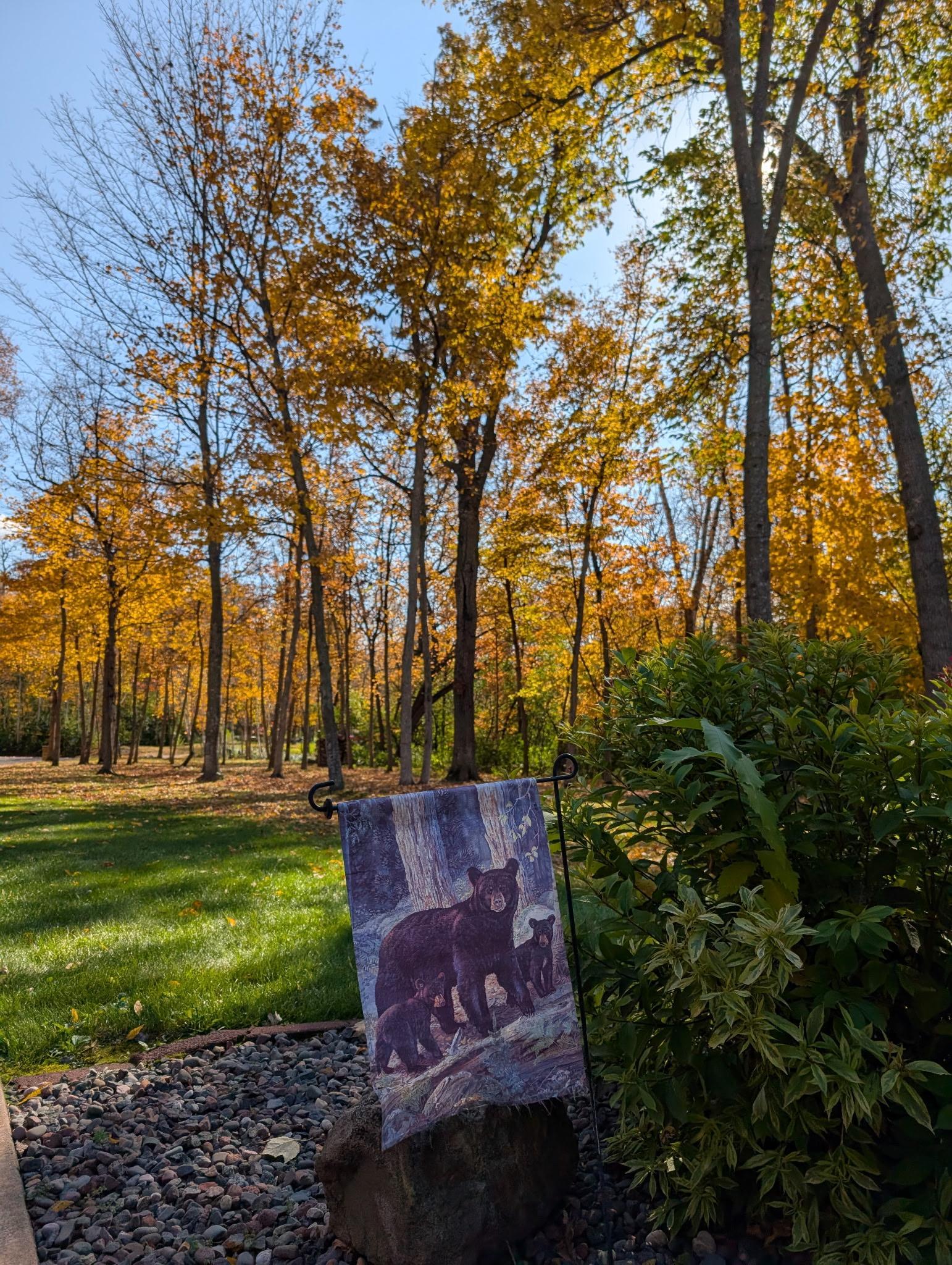 13966 346th Court Lindstrom, MN 55045 - Photo 56 of 65