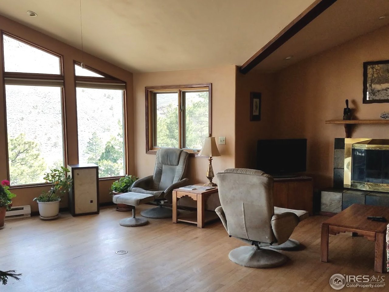 364 Jasper Drive Lyons, CO 80540 - Photo 4 of 14 Great room