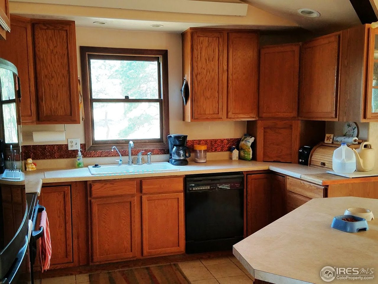 364 Jasper Drive Lyons, CO 80540 - Photo 8 of 14 Kitchen work area