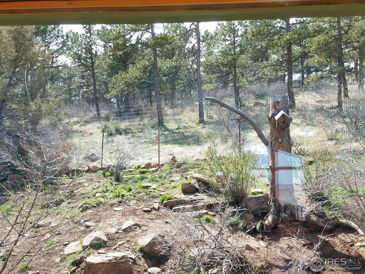 364 Jasper Drive Lyons, CO 80540 - Photo 9 of 14 View from back door