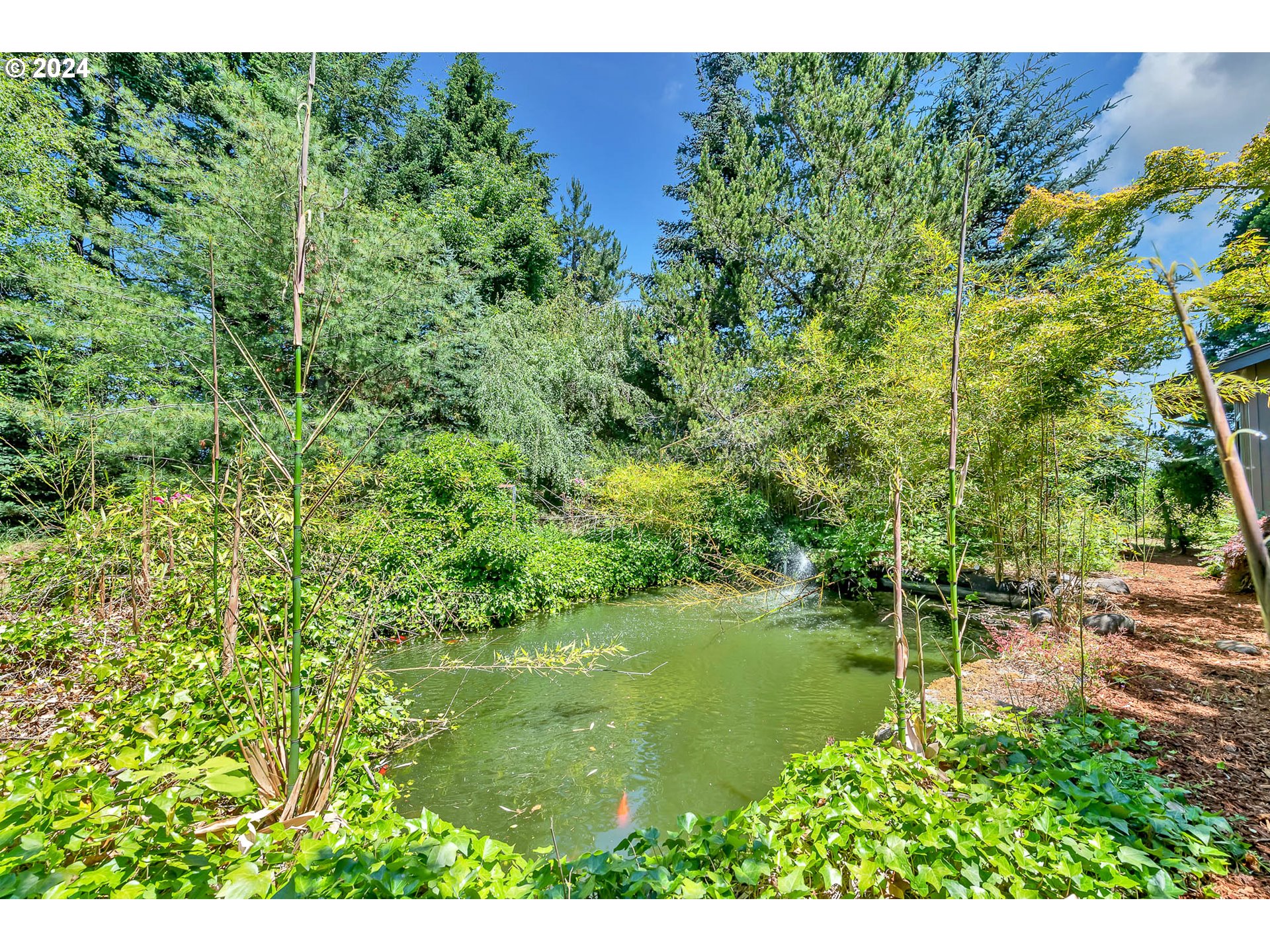 27627 Lorane Orchard Road Lorane, OR 97451 - Photo 32 of 47 Pond