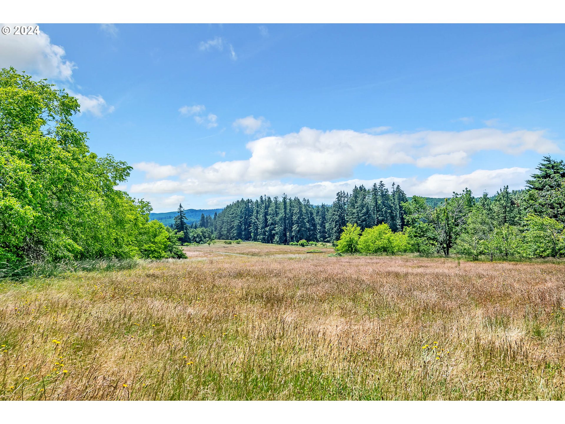 Pasture