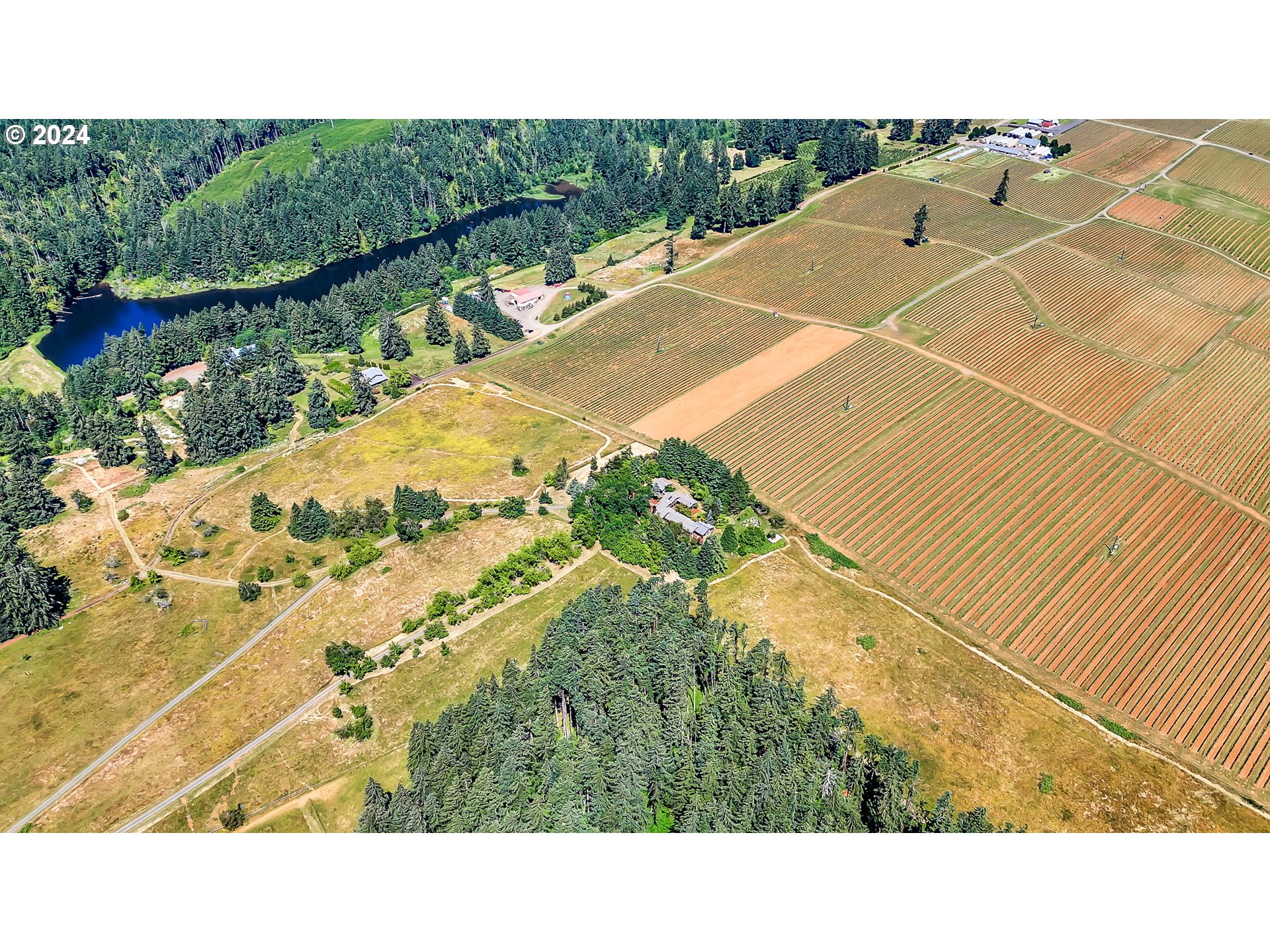 27627 Lorane Orchard Road Lorane, OR 97451 - Photo 46 of 47 Gallery Image 46