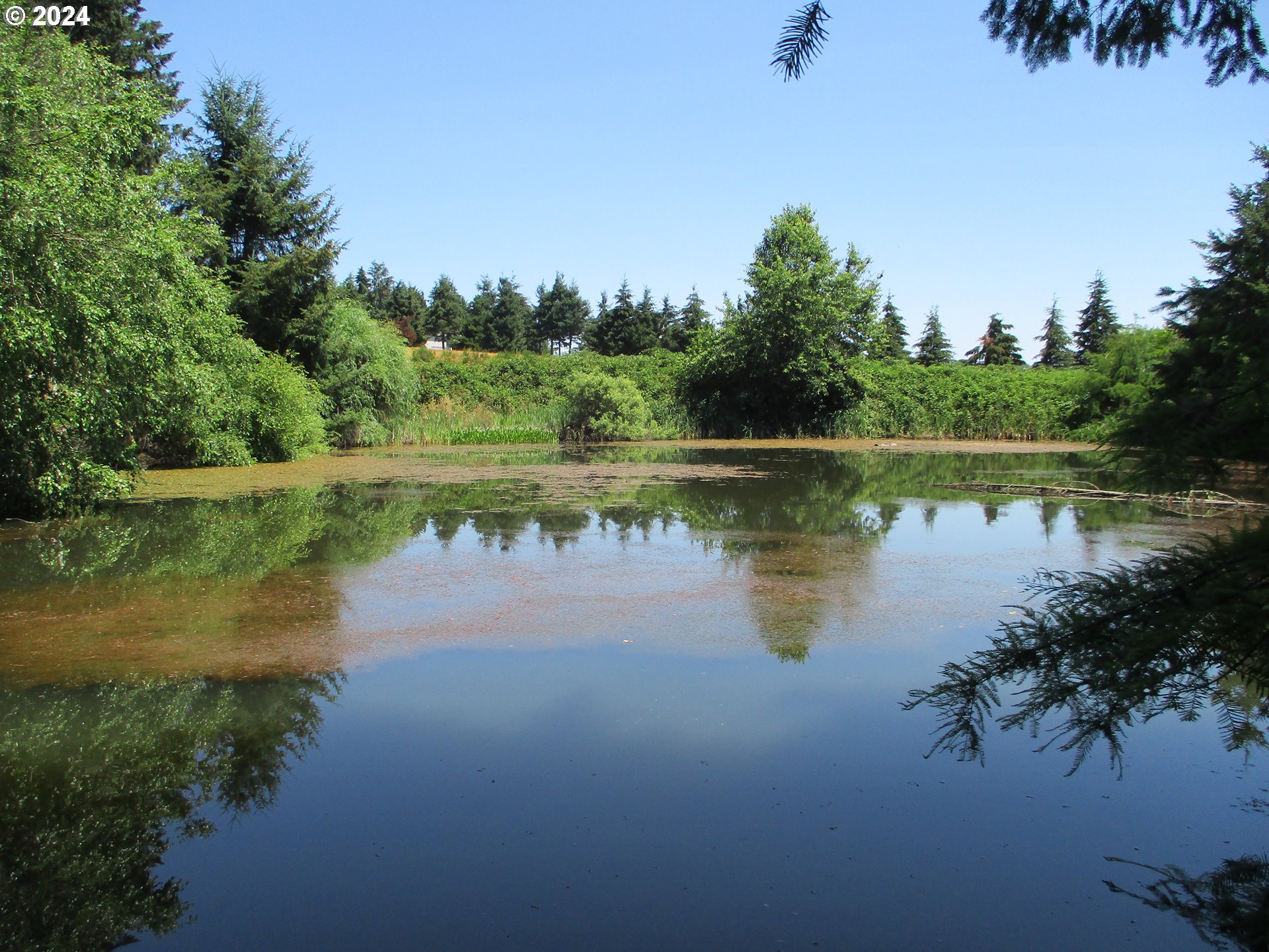 27627 Lorane Orchard Road Lorane, OR 97451 - Photo 8 of 47 Pond