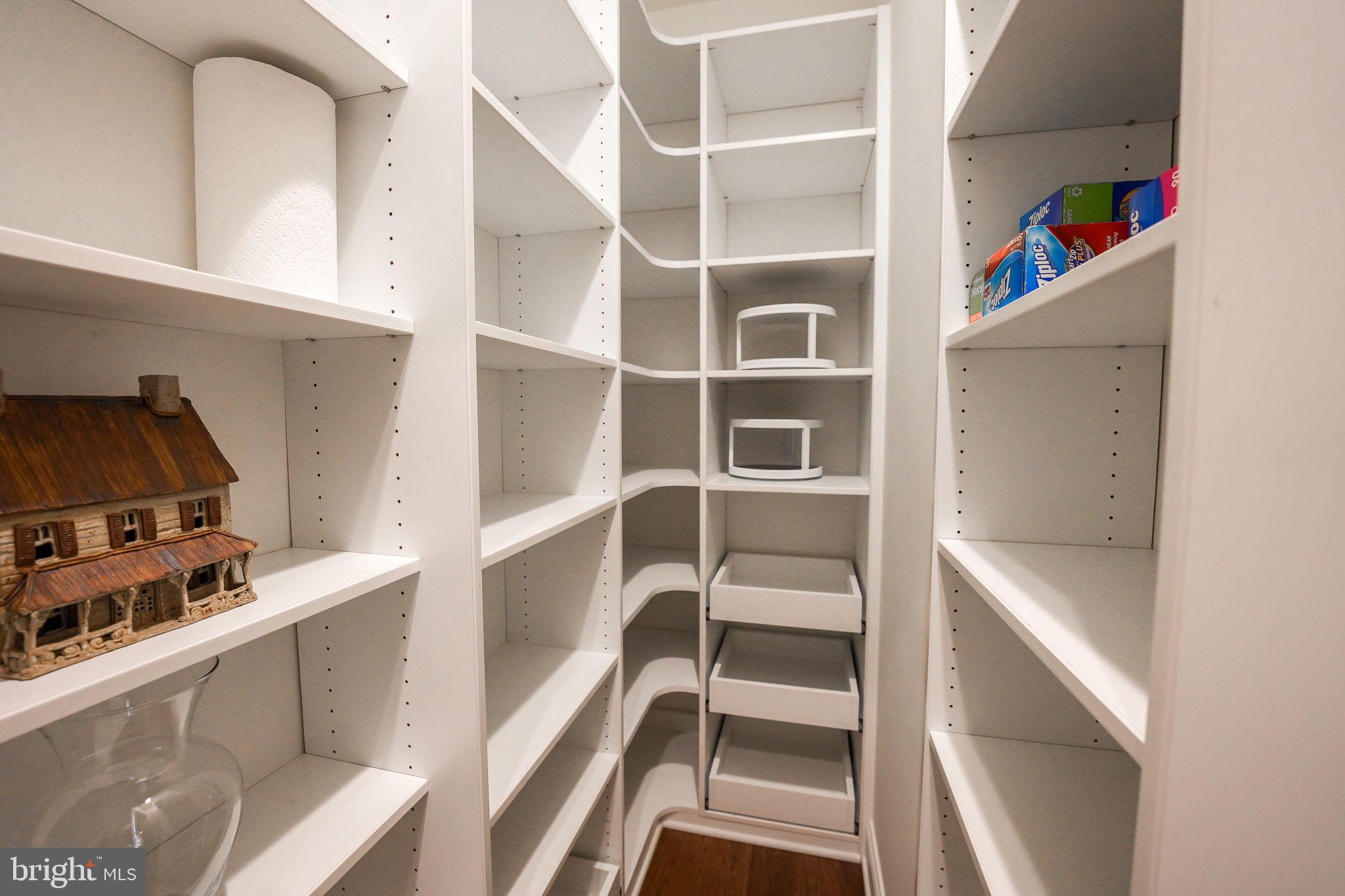 12426 Ruby Red Drive Fredericksburg, VA 22407 - Photo 9 of 46 Walk In Pantry with tons of Built in Shelving