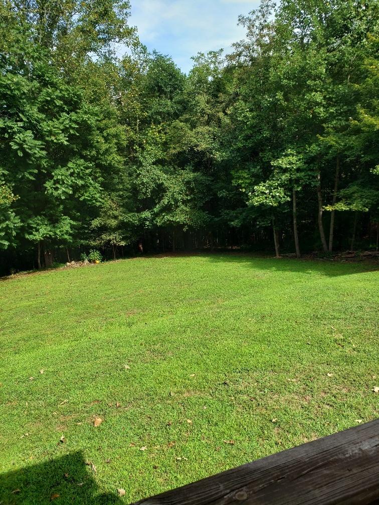 107 Board Mountain Road Goodview, VA 24095 - Photo 10 of 14 a view of a green yard