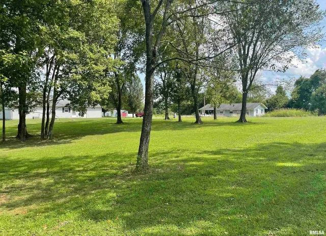 $10,000 | 473-476 Ivy Road, Carbondale, IL 62902