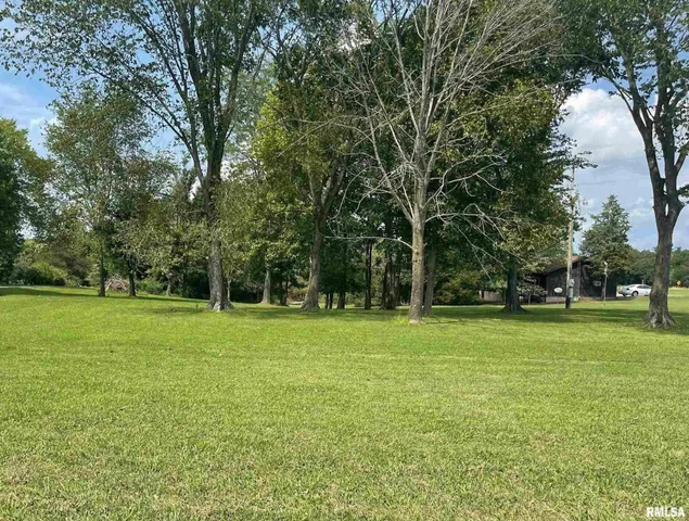 $10,000 | 473-476 Ivy Road, Carbondale, IL 62902