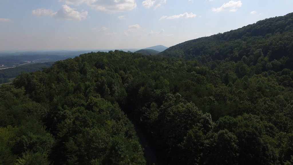 0 Back Valley Road Dayton, TN 37321 - Photo 16 of 20