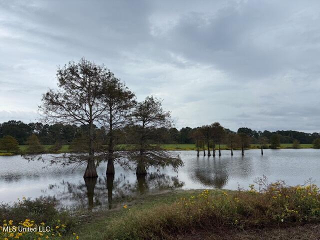 2100 Harperville Road Forest, MS 39074 - Photo 2 of 33 IMG_4220