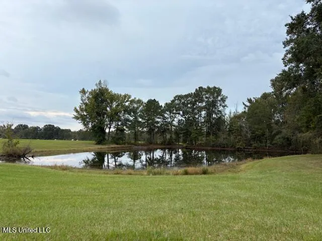 $689,000 | 2100 Harperville Road, Forest, MS 39074