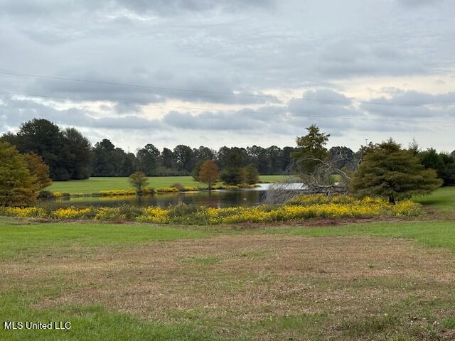 2100 Harperville Road Forest, MS 39074 - Photo 27 of 33 IMG_4183