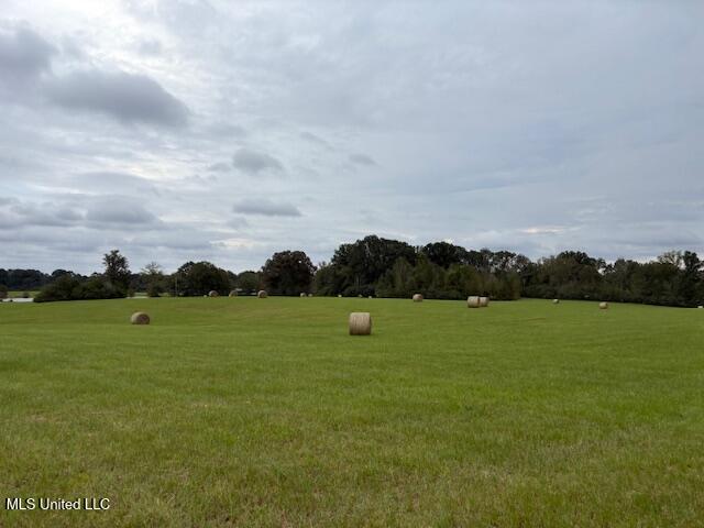 2100 Harperville Road Forest, MS 39074 - Photo 28 of 33 IMG_4205