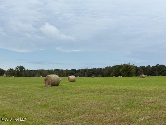 2100 Harperville Road Forest, MS 39074 - Photo 29 of 33 IMG_4185
