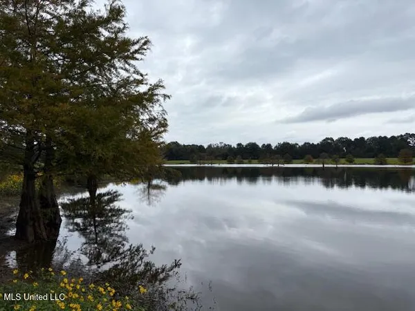 $689,000 | 2100 Harperville Road, Forest, MS 39074