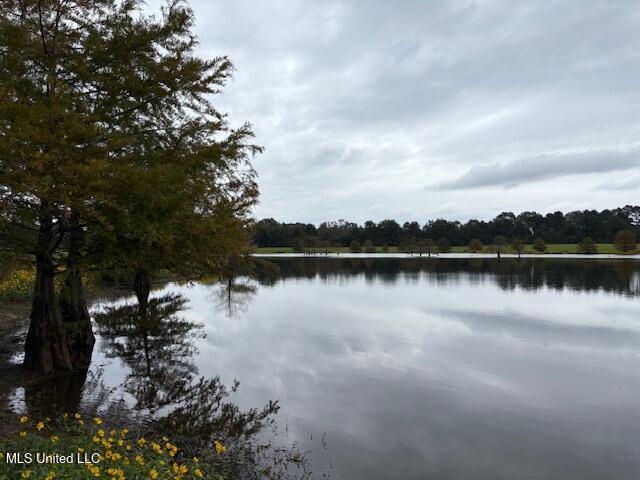 2100 Harperville Road Forest, MS 39074 - Photo 3 of 33 IMG_4211