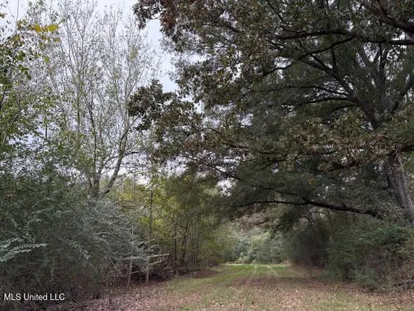 $689,000 | 2100 Harperville Road, Forest, MS 39074