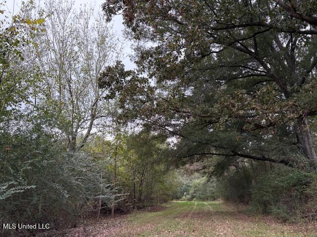 2100 Harperville Road Forest, MS 39074 - Photo 31 of 33 IMG_4213