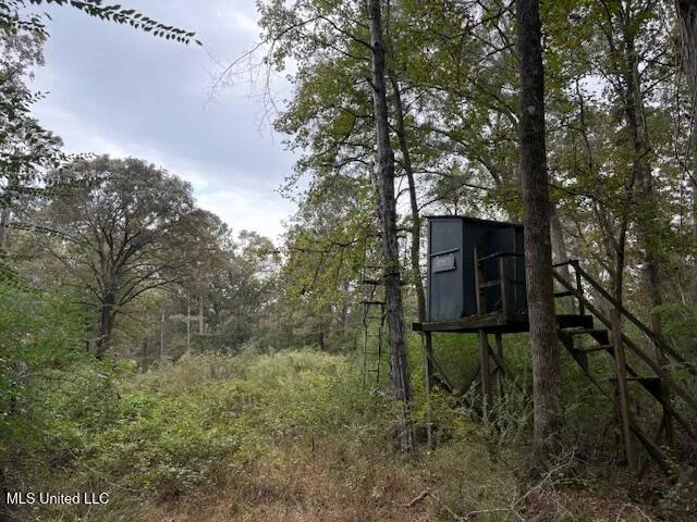 $689,000 | 2100 Harperville Road, Forest, MS 39074