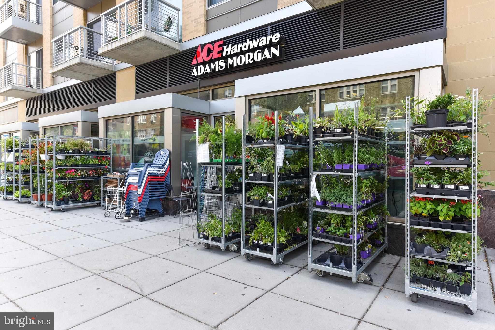 2801 Adams Mill Road Northwest, Unit 210 Washington, DC 20009 - Photo 19 of 24 Neighborhood