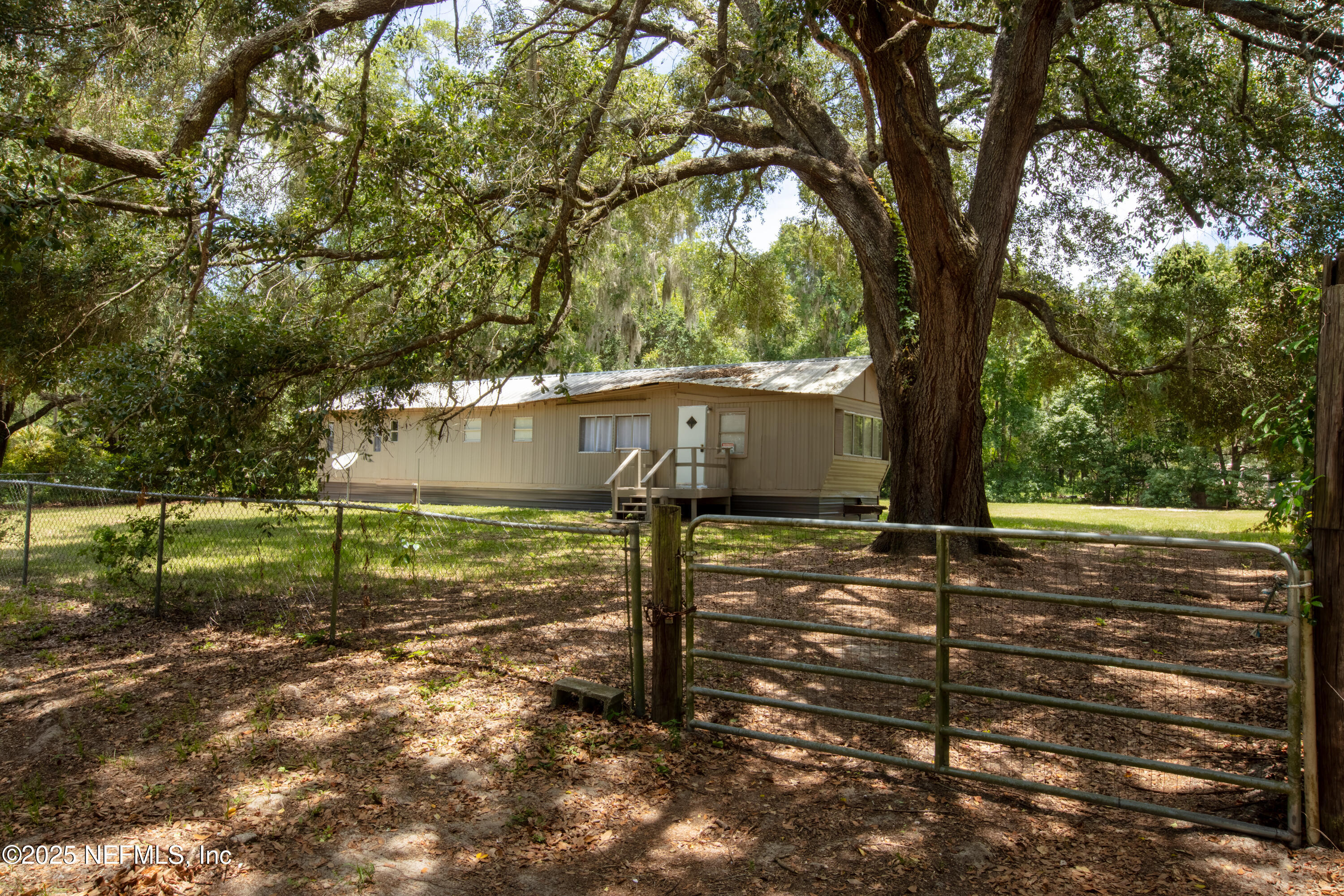 6398 Cascade Drive Keystone Heights, FL 32656 - Photo 3 of 31 a view of a street with a tree