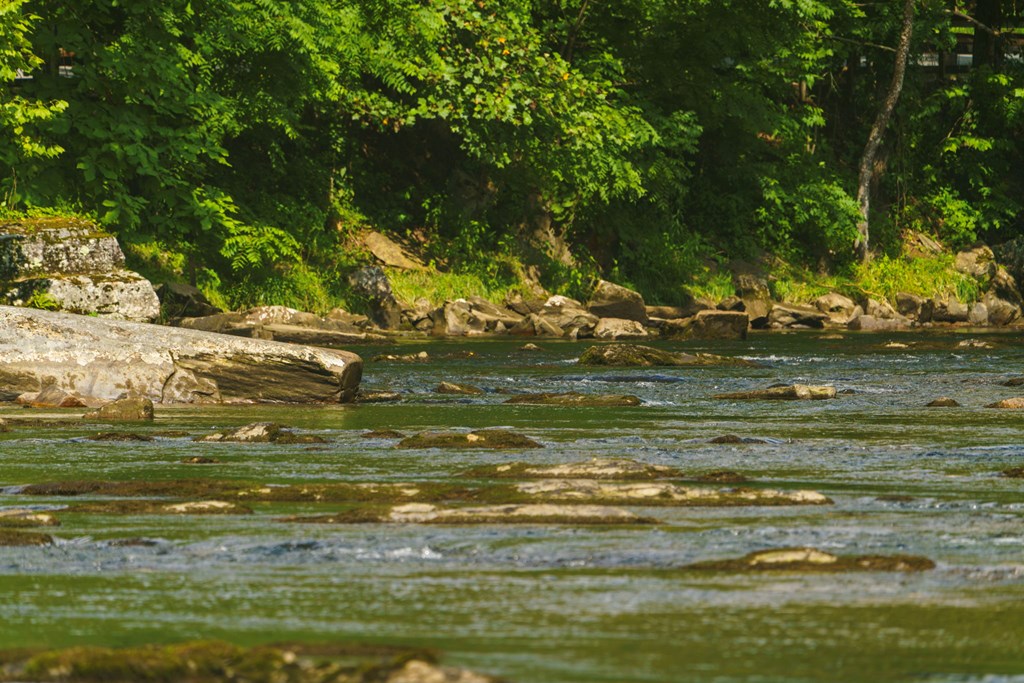235 Rios Drive Bryson City, NC 28713 - Photo 24 of 29
