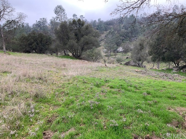 WONDERFUL OPPORTUNITY TO BUILD YOUR DREAM WITH SOME VIEWS, UTILITIES CLOSE BY, SEASONAL CREEK AND STREAM, BEAUTIFUL ROCK OUTCROPPINGS, TREES BUT LARGE AREA FOR A GREAT BUILDING PAD ON A CUL DE SAC LOCATION.
