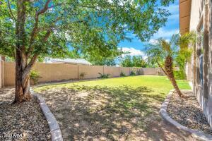 4213 East Edgemont Avenue Phoenix, AZ 85008 - Photo 2 of 35 a view of a backyard with tree