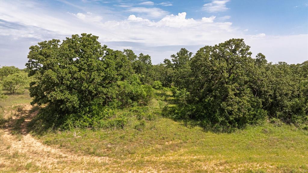 268 County Road 268 Rising Star, TX 76471 - Photo 6 of 20 a view of a yard