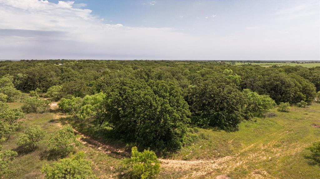 268 County Road 268 Rising Star, TX 76471 - Photo 7 of 20 a view of a big yard with a large tree