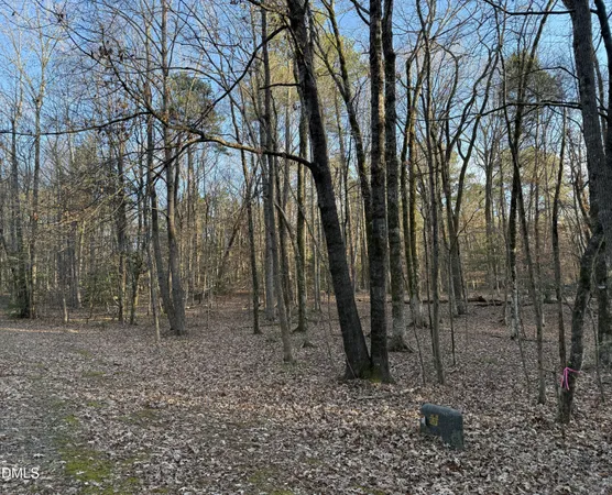 $67,000 | 0 Woodland Road, Littleton, NC 27850