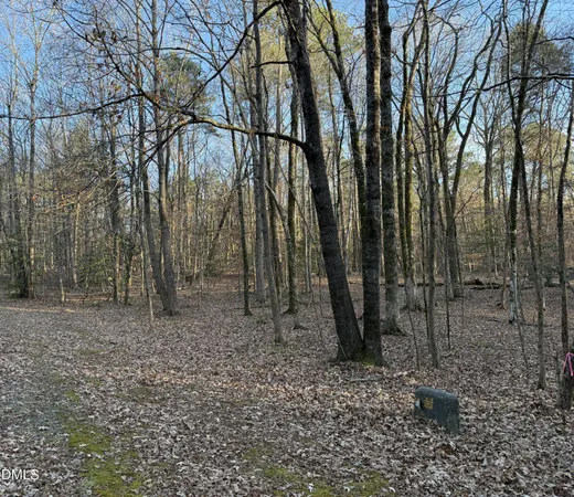 $67,000 | 0 Woodland Road, Littleton, NC 27850