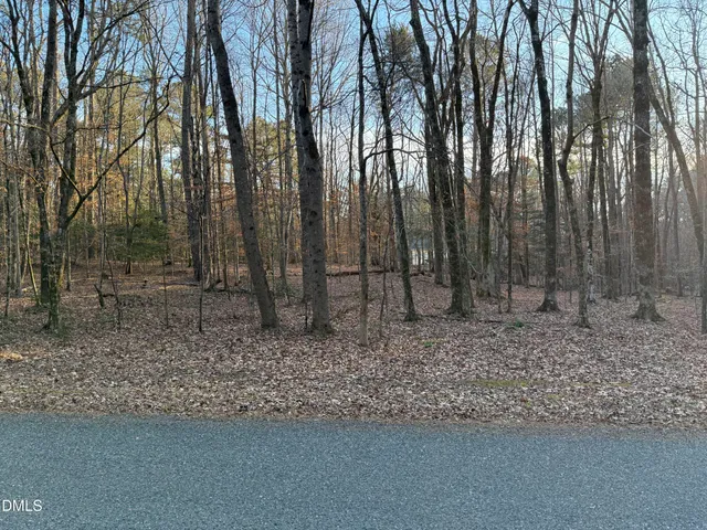 a backyard of a house with lots of trees