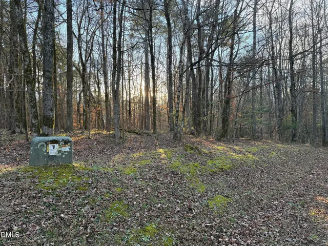 a view of a backyard with large trees