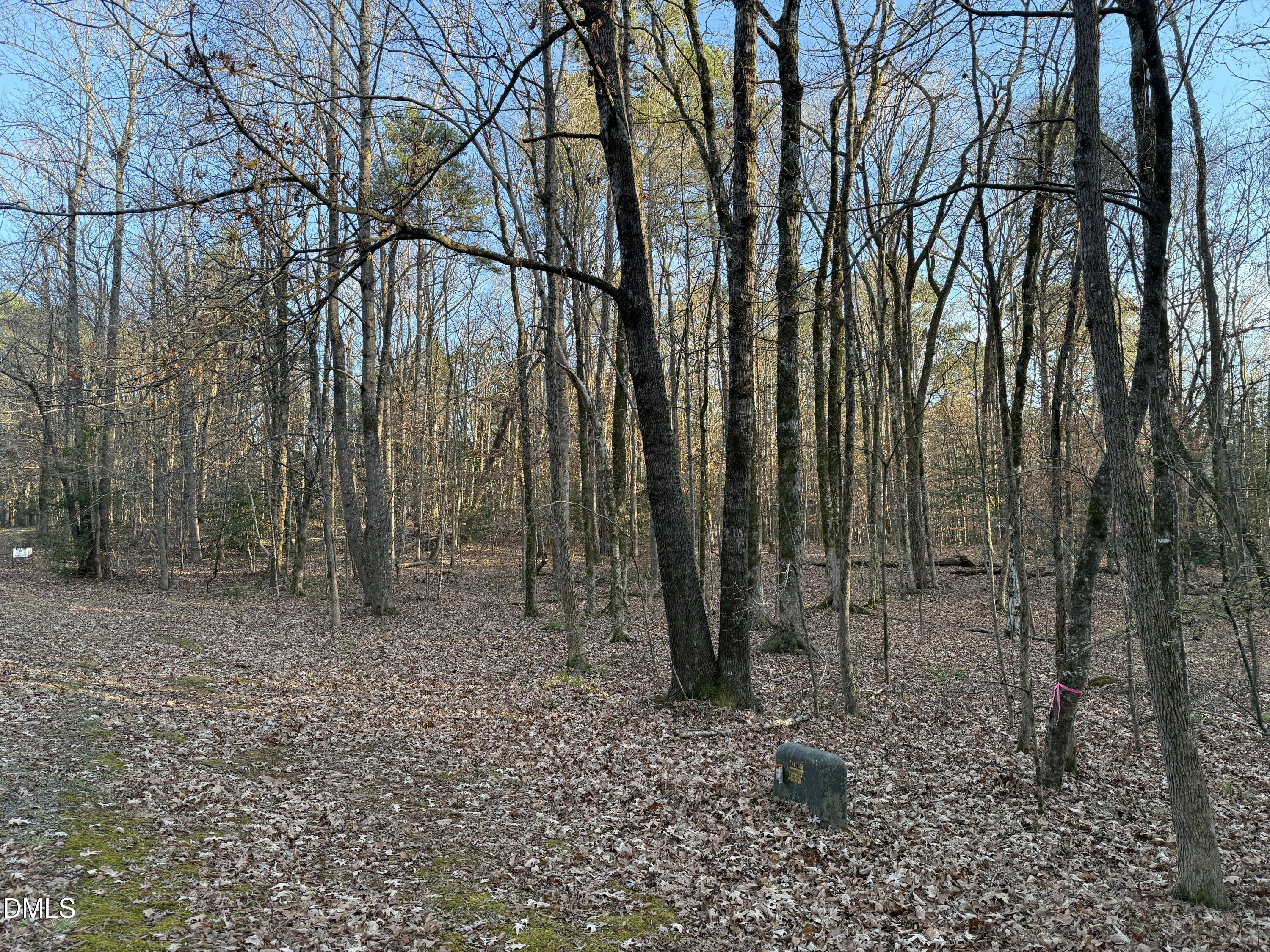 0 Woodland Road Littleton, NC 27850 - Photo 9 of 11 IMG_1375