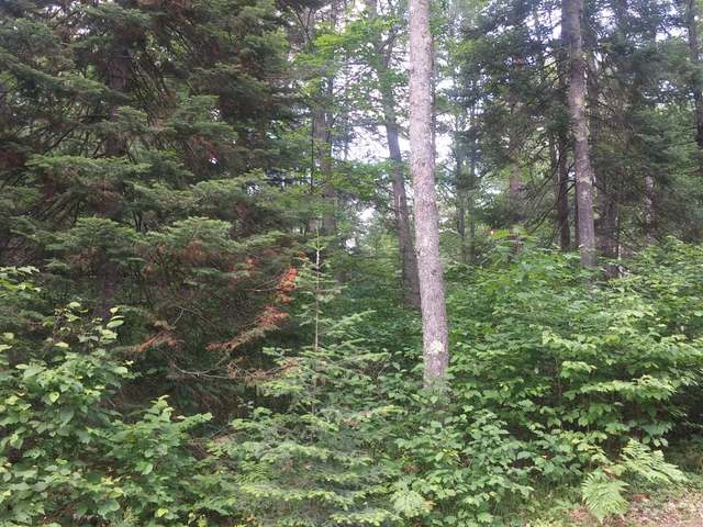 Nine 9 Mile Road Eagle River, WI 54521 - Photo 1 of 10 Gallery Image 1