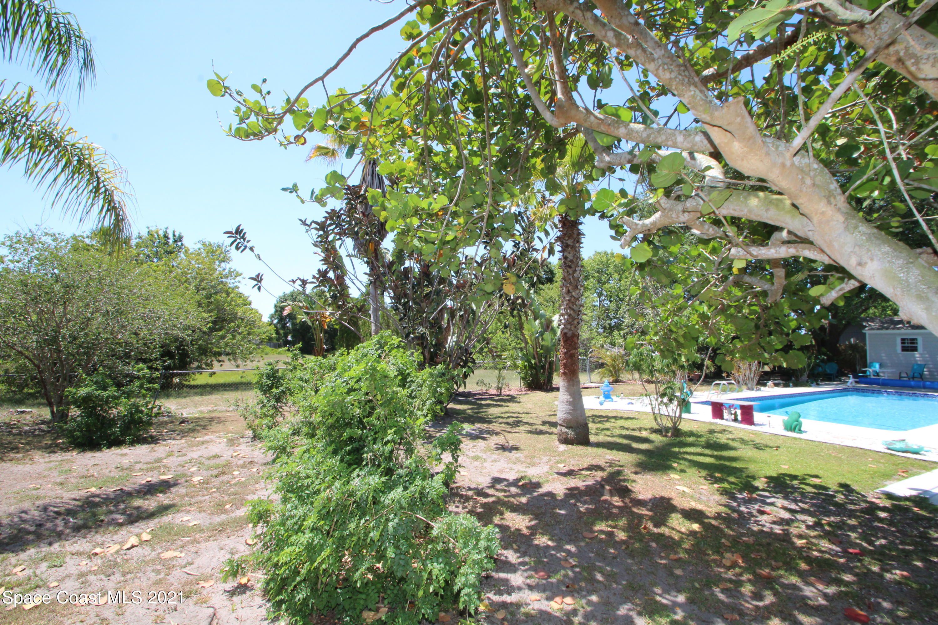 1398 Creel Road Northeast Palm Bay, FL 32905 - Photo 36 of 37 a view of yard with tree